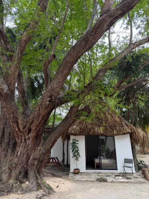 Cabanas Camping Ria سيليستون المظهر الخارجي الصورة